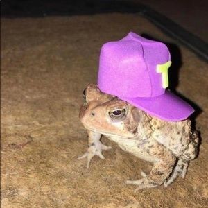 Meet your Posher, Nuvvija